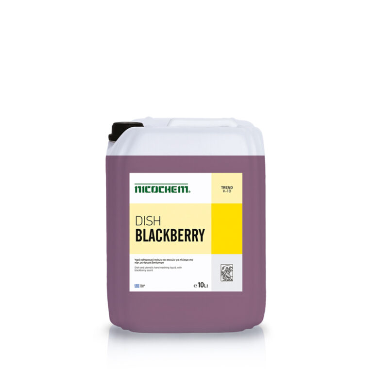 Yγρό λάτζας DISH BLACKBERRY